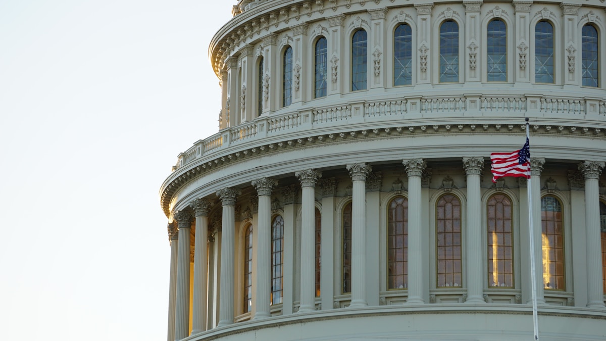 New Bipartisan Initiatives Across Four US States Clear the Path for Wildlife Crossings