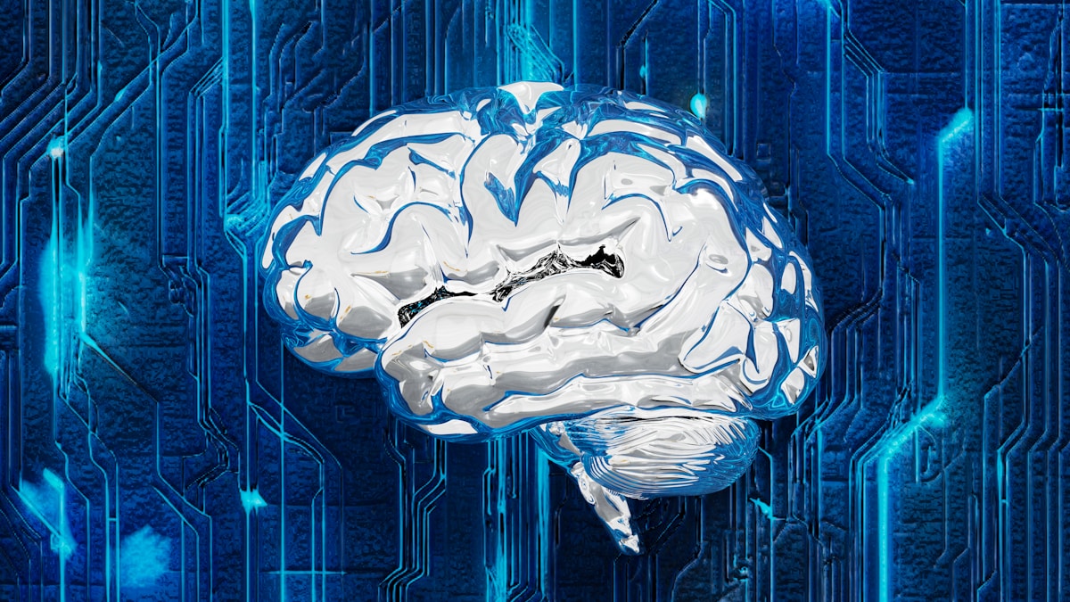 How Deep Sleep Naturally Heals the Body: Scientists Map the Brain Circuit Behind Muscle Growth and Mental Focus