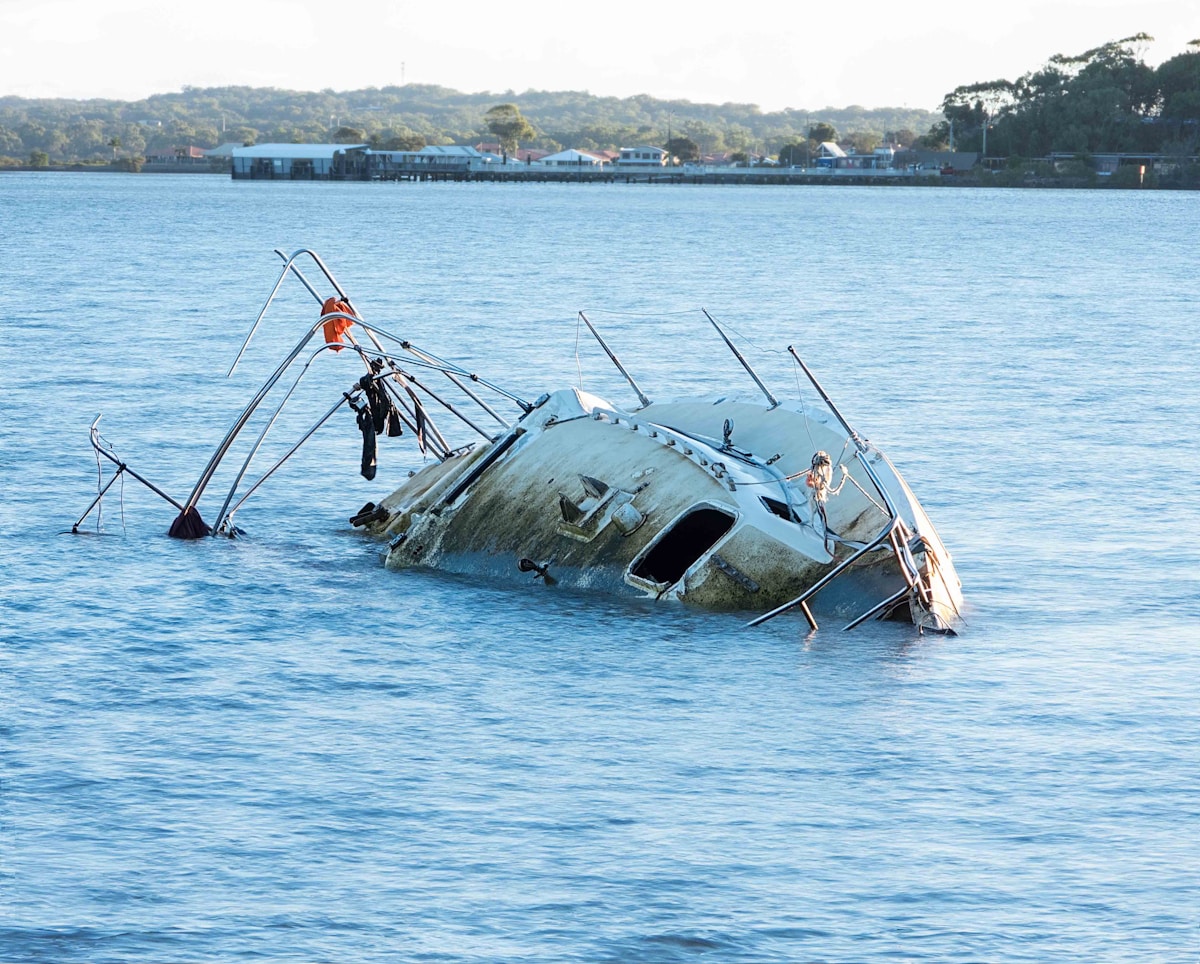 Australian Fishermen Safely Rescue Tangled 220-Pound Loggerhead Sea Turtle