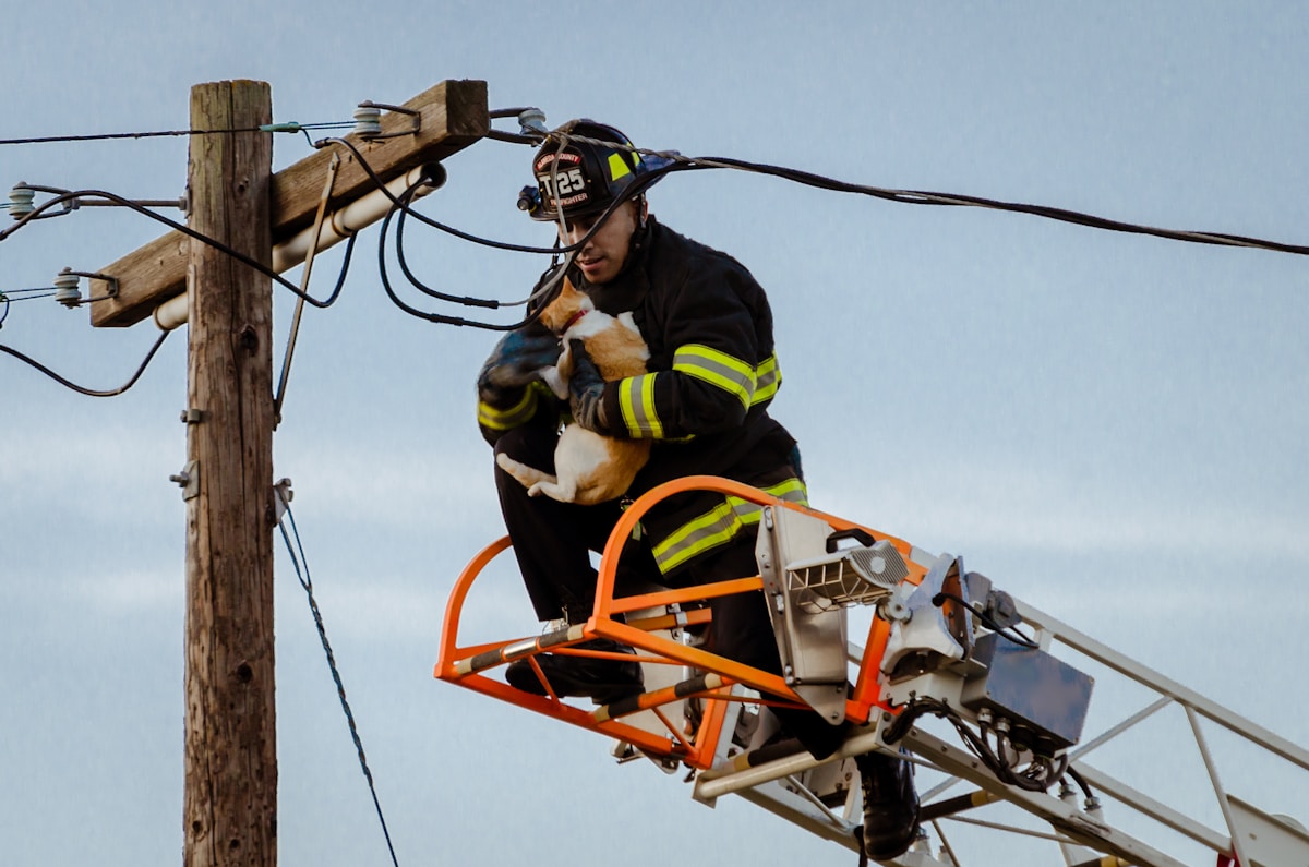 Firefighters Use Hydraulic Tools to Safely Rescue Trapped Raccoon