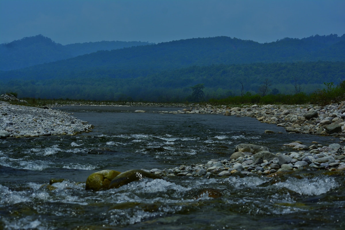 How a Single Scoop of River Water is Revolutionizing Global Wildlife Tracking