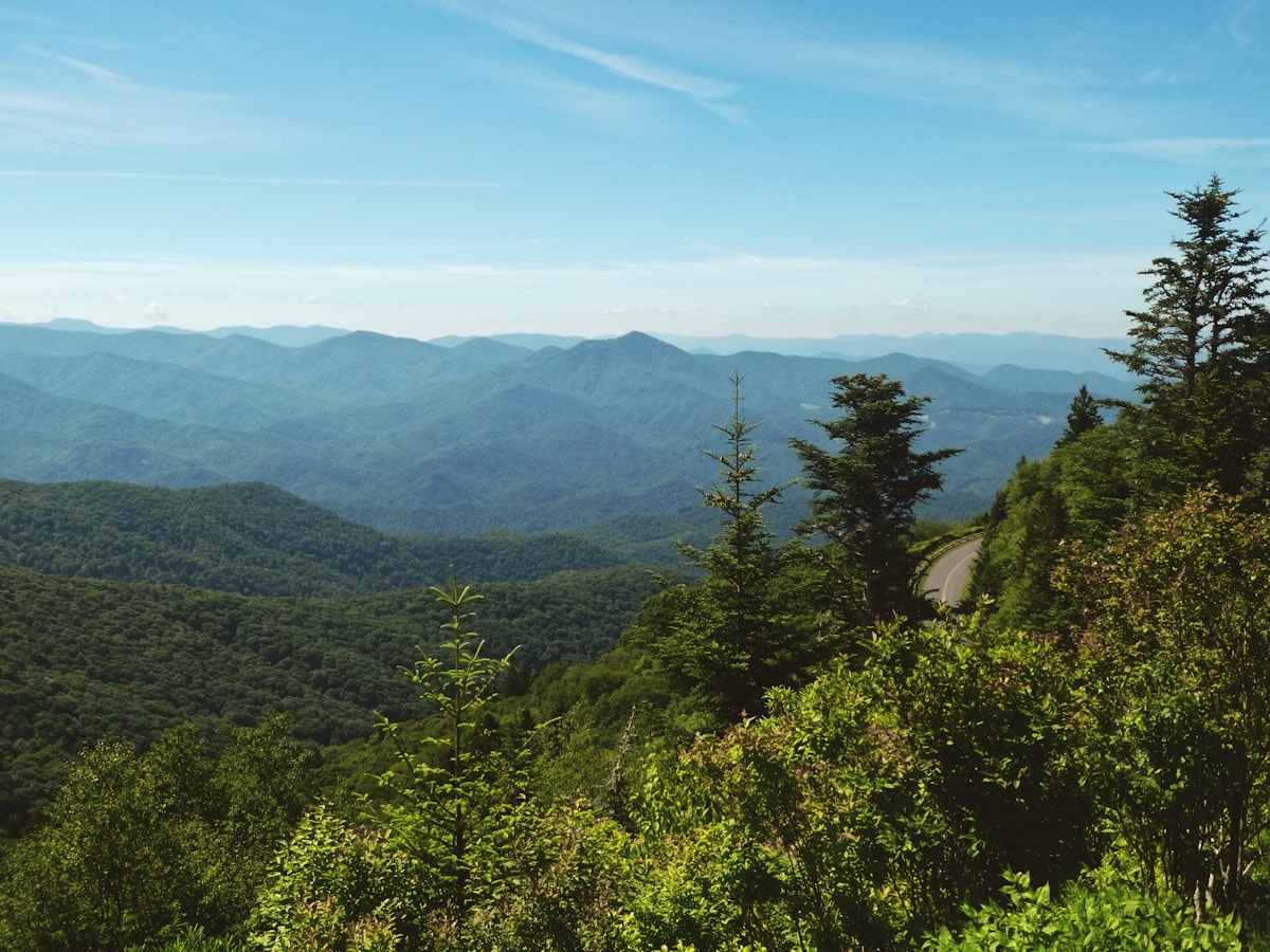 North Carolina Funds Historic Wildlife Crossings to Protect Great Smoky Mountains Animals