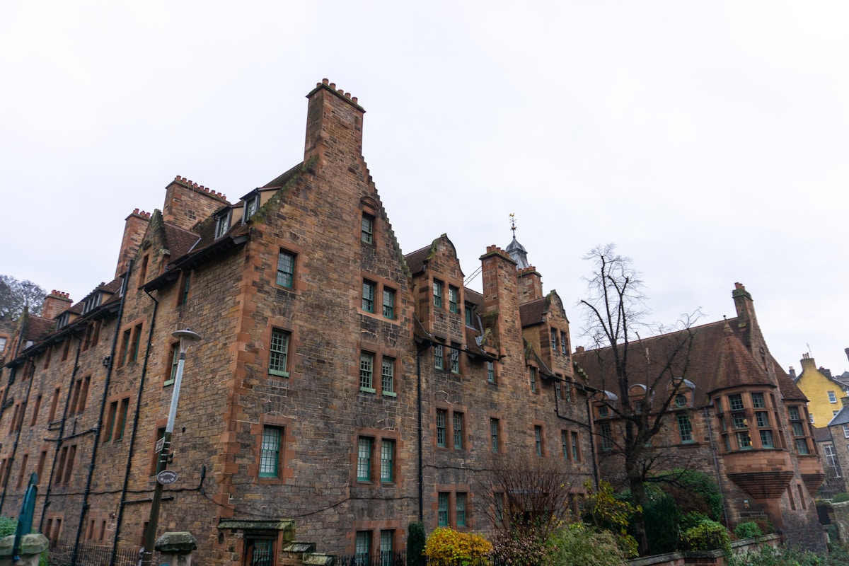 Scotland Welcomes the UK’s First Dedicated Houseplant Hospital to Revive Beloved Indoor Greenery