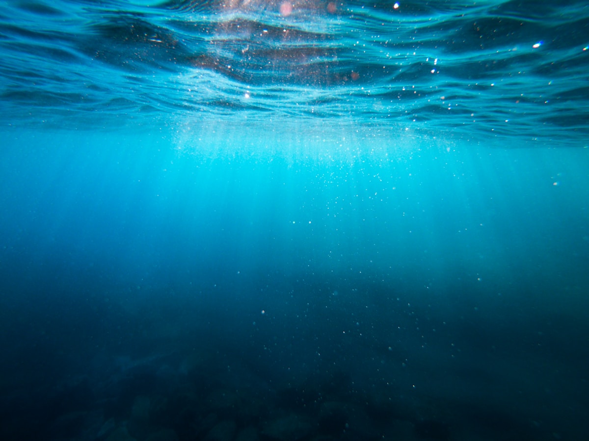 Deep-Ocean Pressure Revealed as a Natural Nutrient Pump, Sustaining Vital Marine Life
