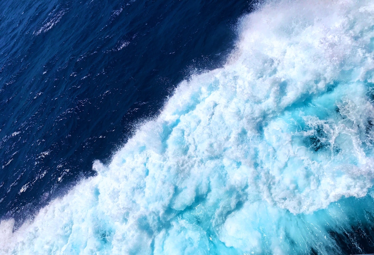 A $260 Million Boost Aims to Turn Global High Seas Treaty Into Real-World Ocean Protections