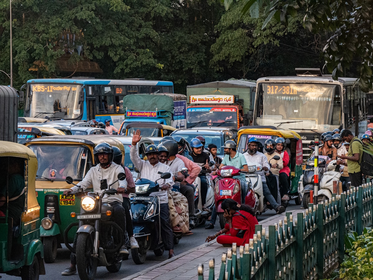 Innovative Highway Color Coding Helps Protect Wildlife and Drivers in India