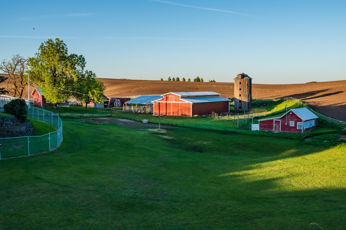 Century-Old Family Farm Sold to Create Crucial Highway Wildlife Crossing