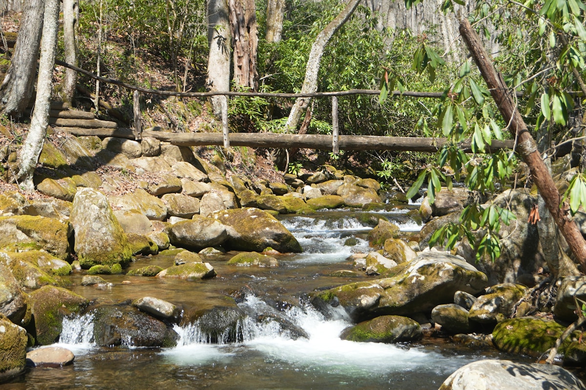 Innovative Dual-Path Land Bridge Helps Both Wildlife and Hikers Safely Cross the Appalachian Trail
