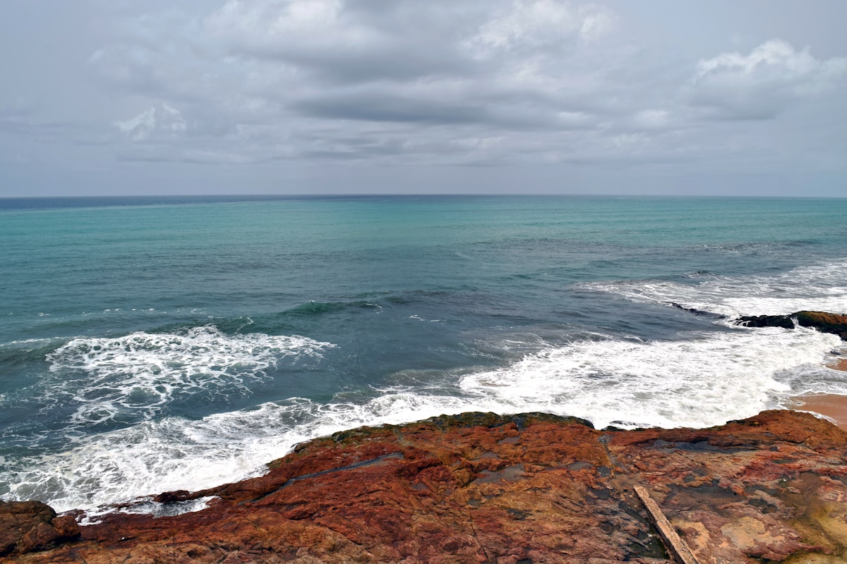 Deep-Sea Coral Reef Once Thought Dead Found Thriving Off West African Coast