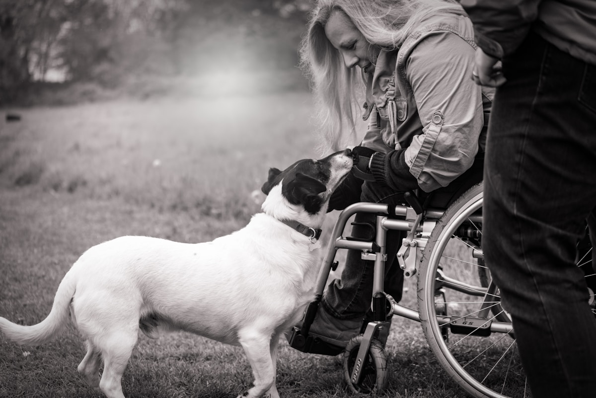 Innovative Double Neural Bypass Allows Paralyzed Man to Feed Himself and Pet His Dog