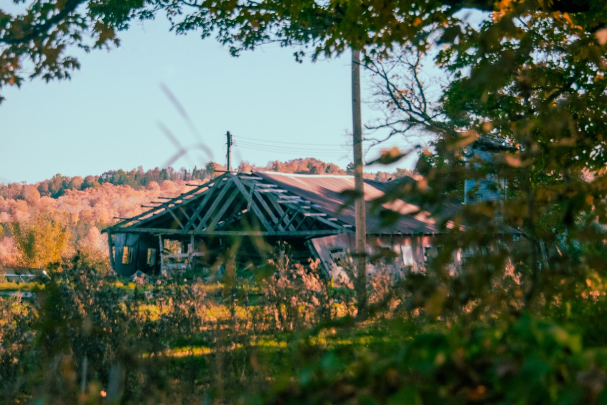 New England's Solar Power Surge Saves Residents Up to $54 Million in a Single Day