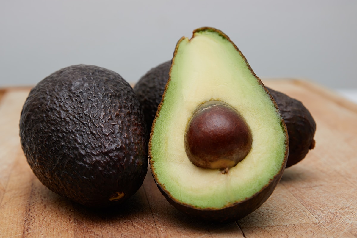 Ancient Rain Forest Discovery Unlocks New Avocado Varieties for Future Resilience