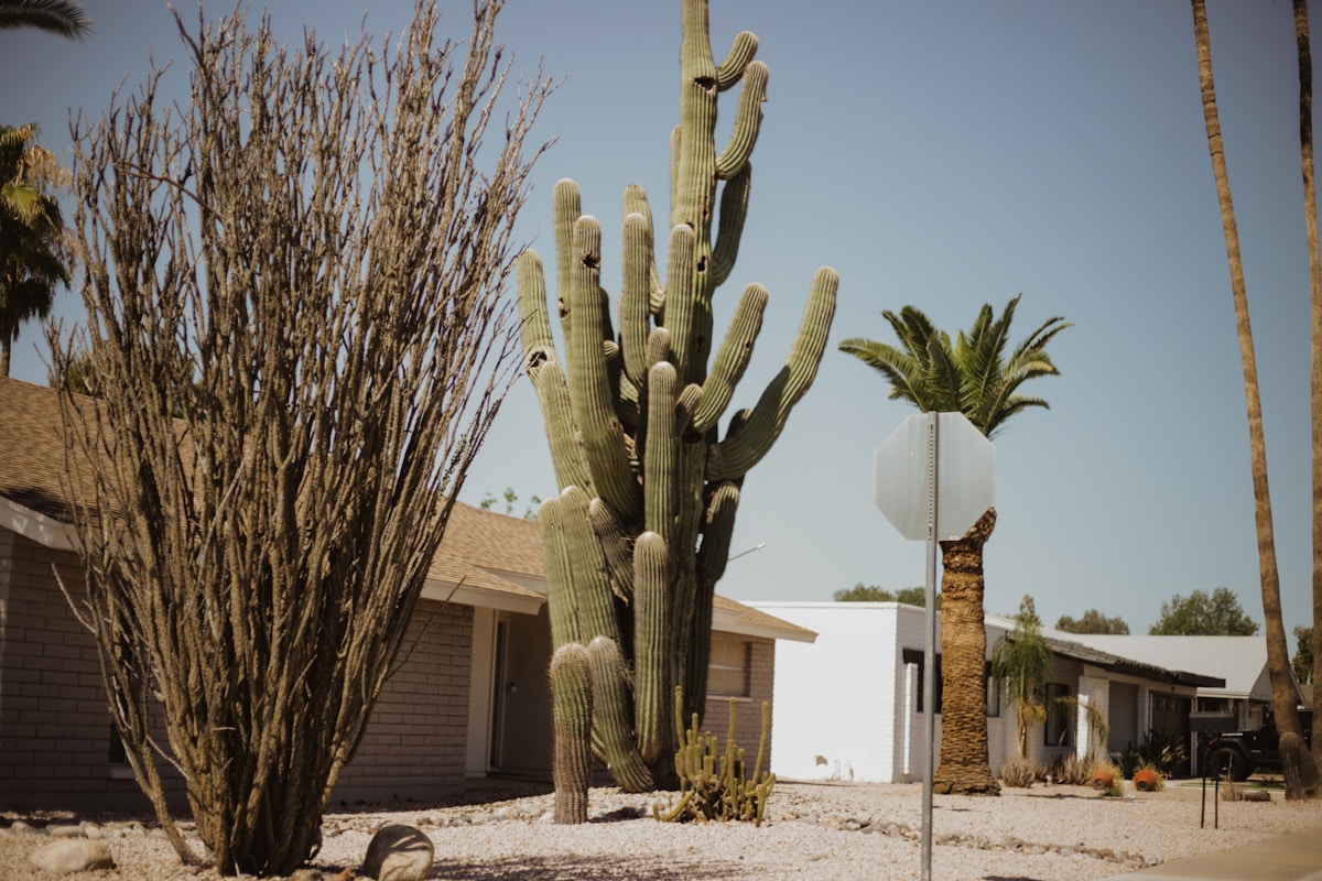 Quick-Thinking Arizona Teen Steps In to Help Elderly Neighbor Lost in Extreme Heat