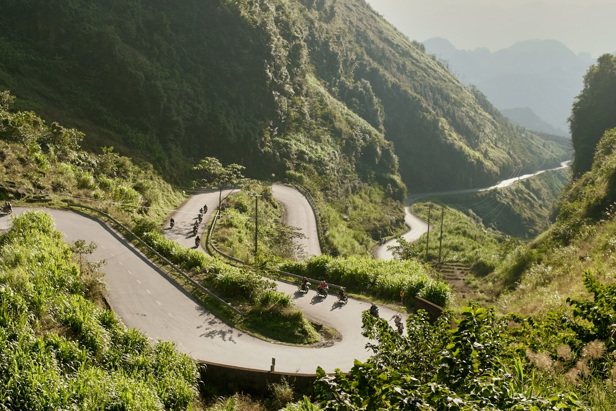 Roads Grow Safer and Deforestation Plummets in a Landmark Week for Global Progress