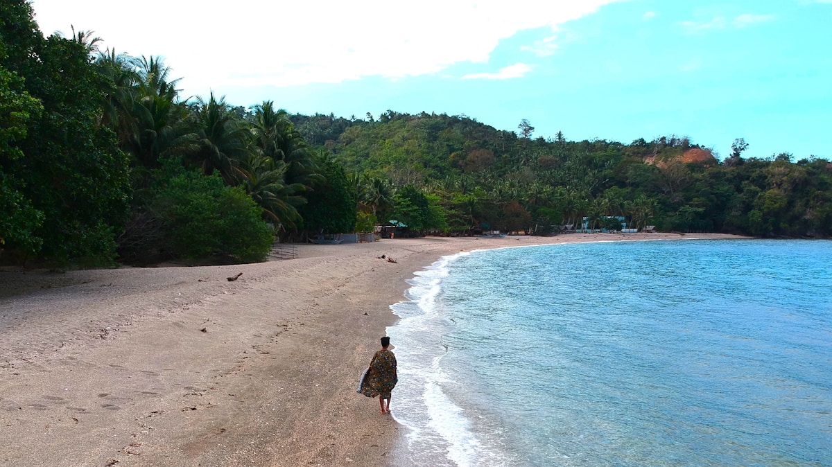 Dedicated Volunteers Patrol Philippine Beaches Overnight to Shield Nesting Sea Turtles from Stray Dogs