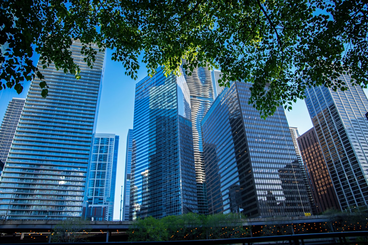 Investing in Urban Trees Yields Triple the Returns for Cities, Researchers Find