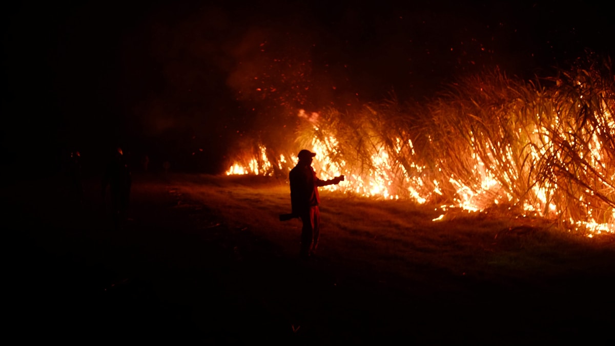 Shorter Dry Seasons Lead to Unexpected Drop in African Wildfire Activity