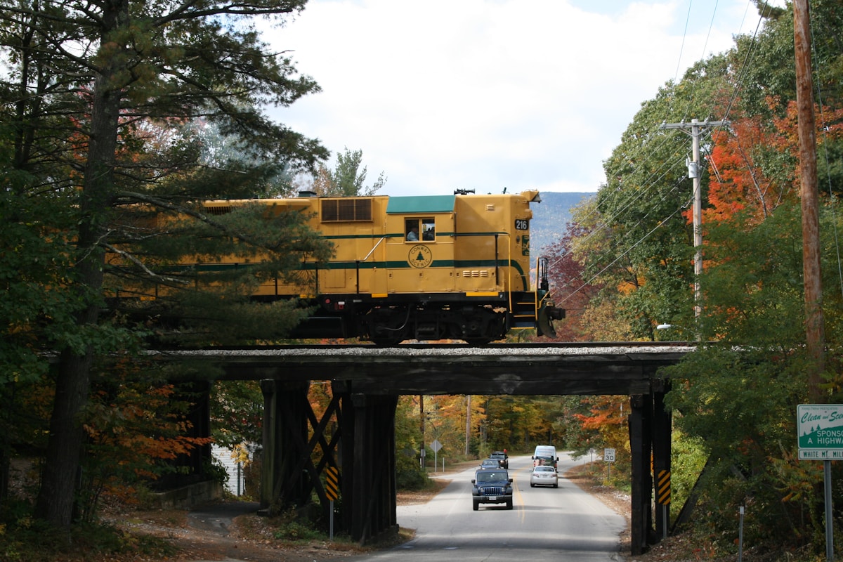 Specialized Underpass Tunnels Offer Safe Passage for New Hampshire's Salamanders