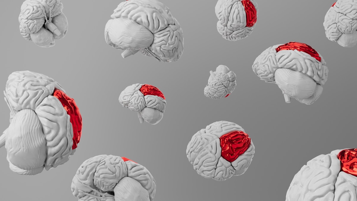 Discovery of aging 'switch' opens new pathways to prevent brain disease
