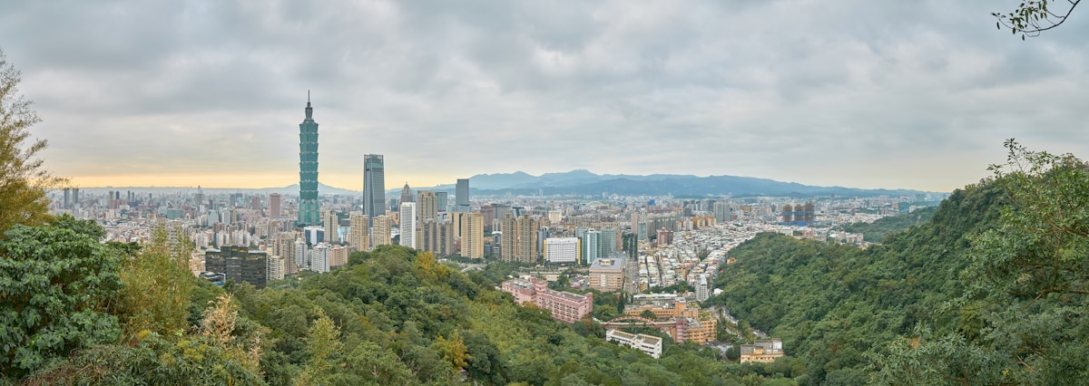 Hidden Giants of Taiwan: Researchers Discover East Asia's Tallest Tree in Pristine Ancient Forest
