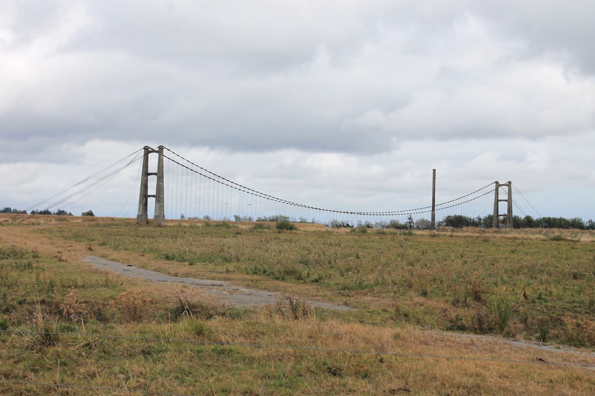 Bridging the Gap: How Fragmented Lands Are Being Reconnected to Save Wildlife