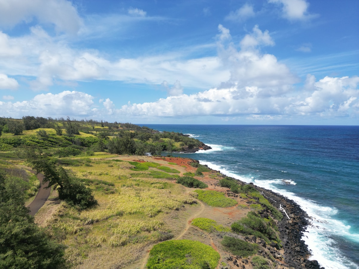 Kauai’s Record-Breaking Sanctuary Fence Offers Safe Haven to Endangered Seabirds