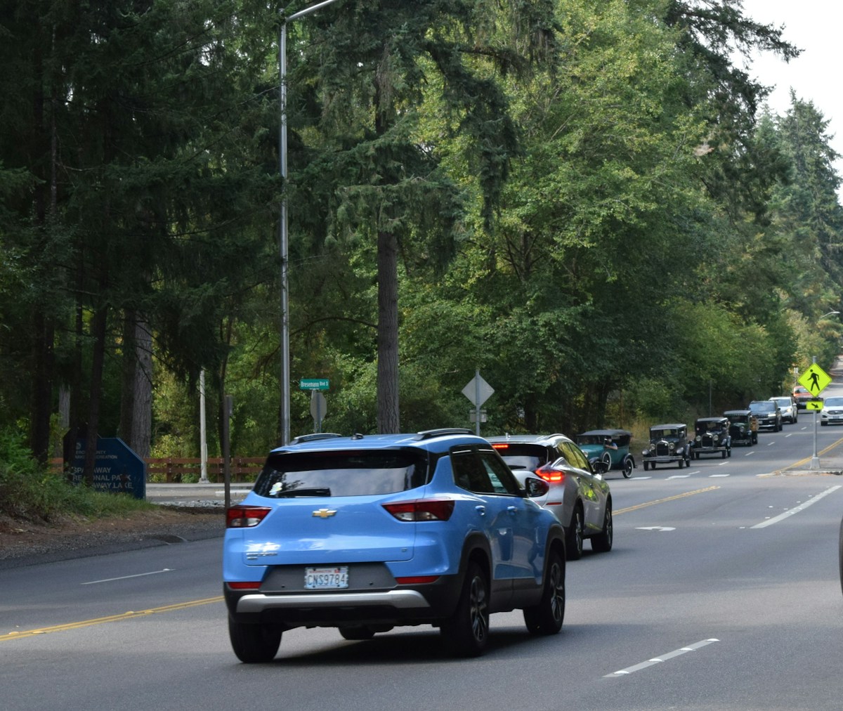 How Cougars Are Helping Keep Drivers Safe on Washington’s Highways