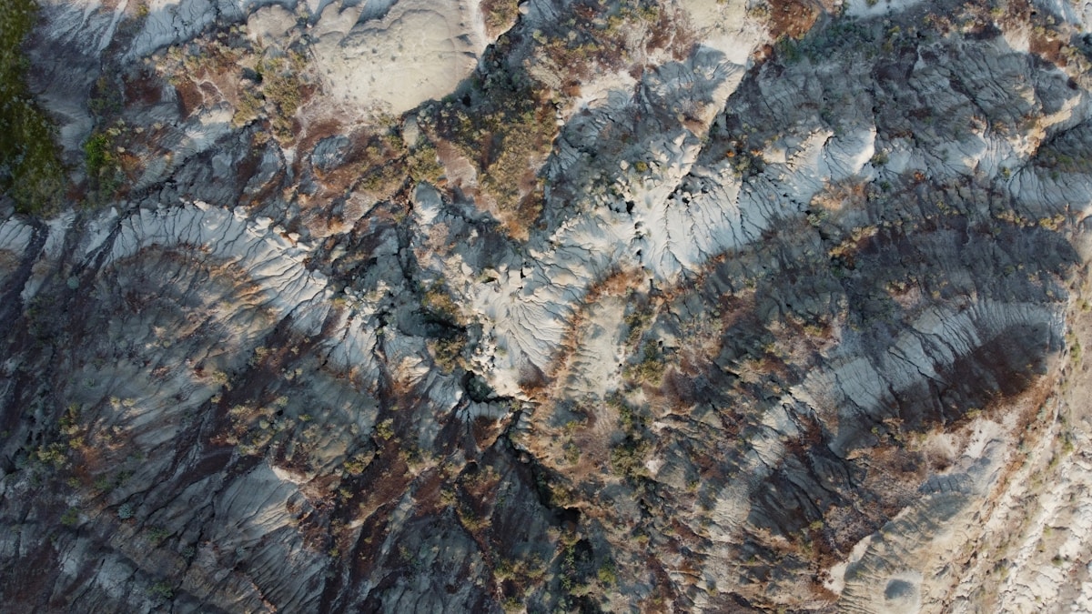 Spectacular Canadian Fossil Discovery Reveals the Vibrant Dawn of Earth's First Animal Life