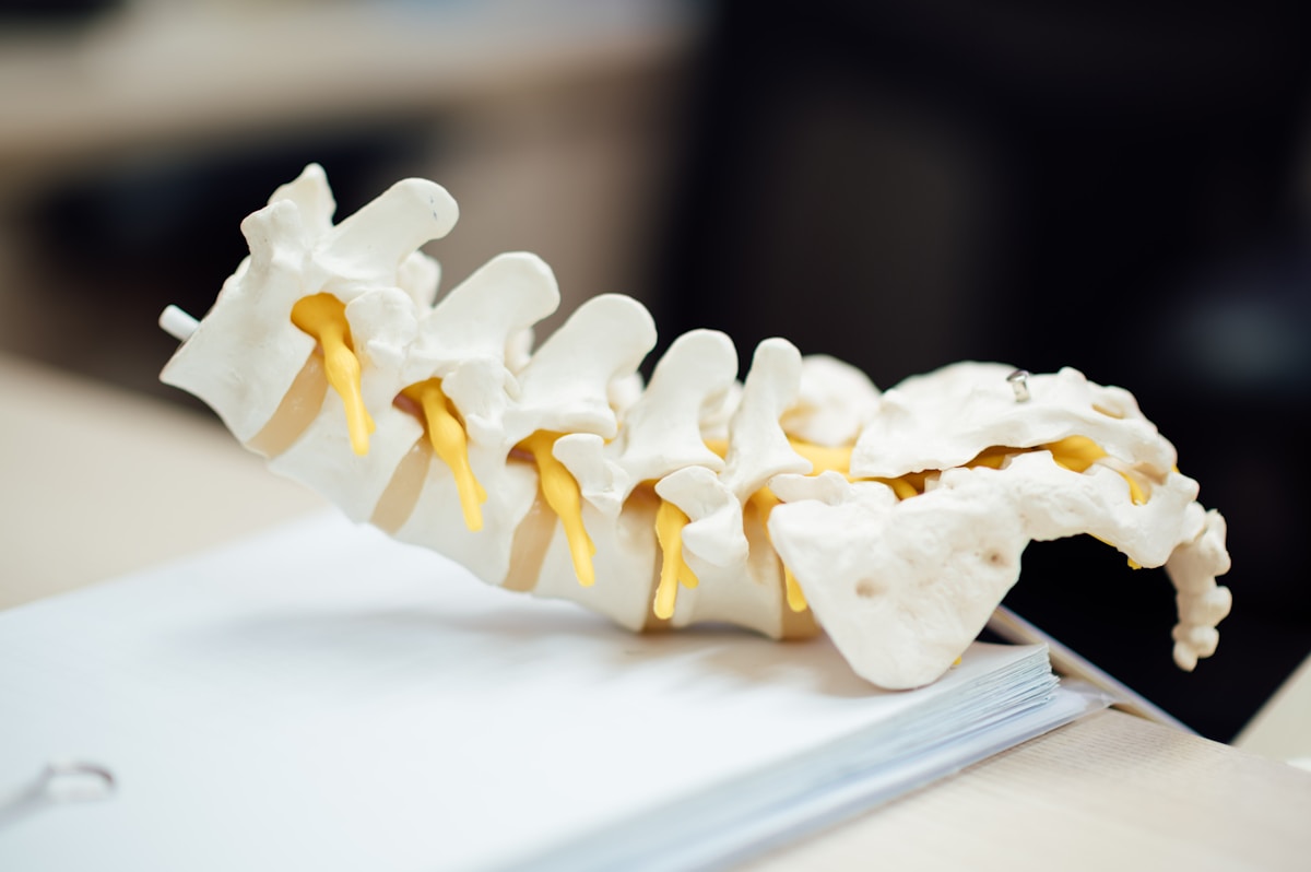 Common Osteoporosis Drug Shows Promise in Preventing Spinal Disc Decay