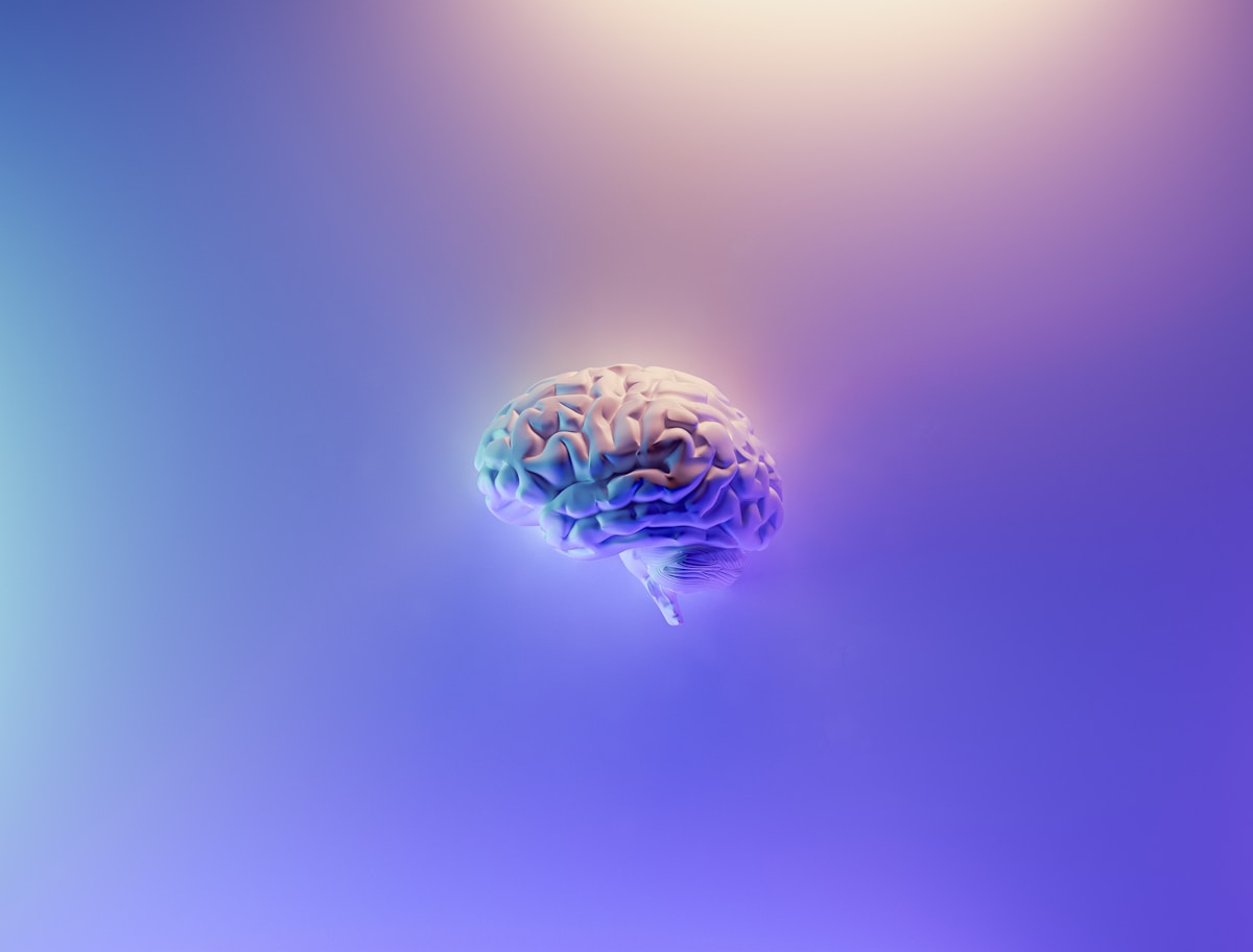 How Learning a New Skill Rewires Your Brain in Two Distinct Ways