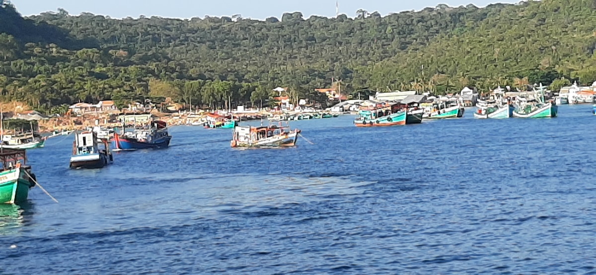 How Turkish Fishers and Conservationists Transformed 300 Miles of Coastline Into a Thriving Marine Sanctuary