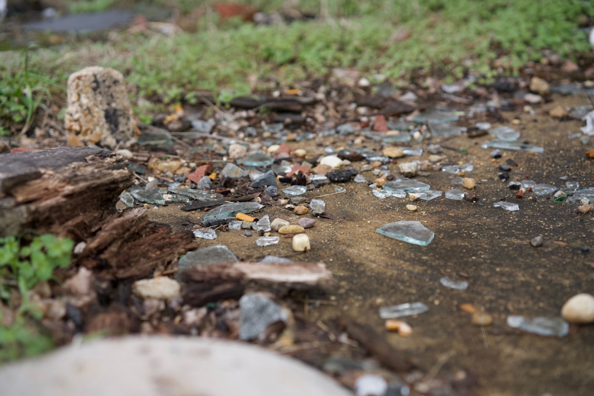 Turning Recycled Glass into Sand is Helping Rebuild Louisiana's Eroding Coastline