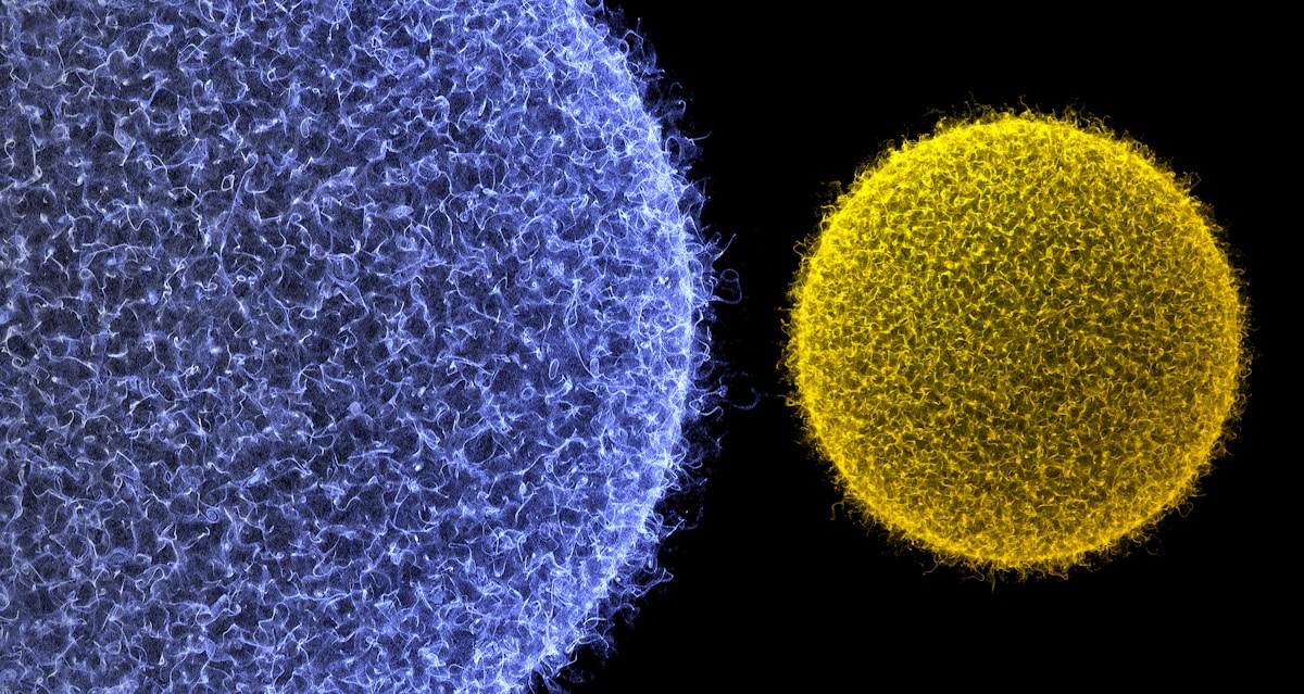 Harnessing the Sun: Scientists Generate Quantum Entanglement Using Natural Sunlight