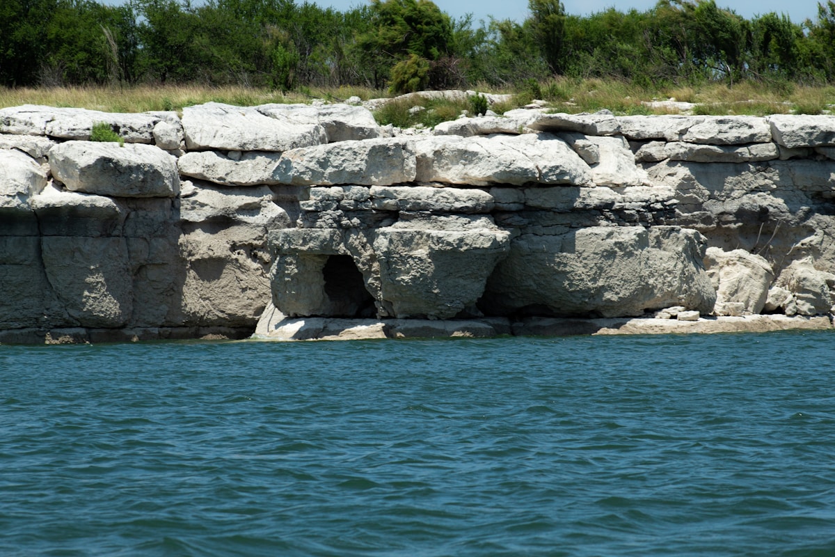 Historic Relocation Effort Brings Rescued Beluga Whales to Safe New Home in Texas