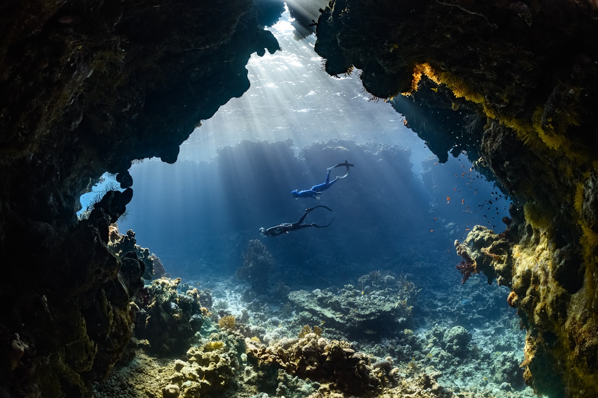 Submerged Cave Secrets Offer Scientists a New Window Into the Lives of Ancient Megafauna