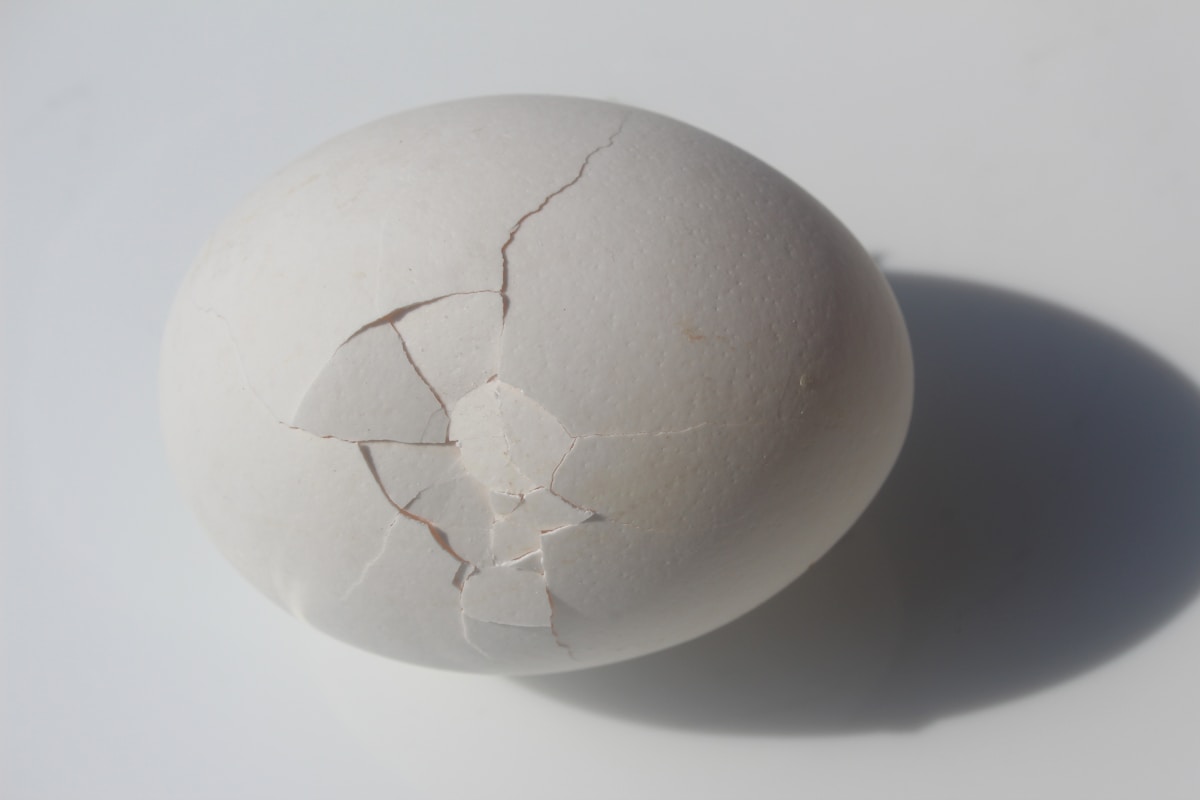Ancient Ostrich Eggshells Reveal the Deep History of Human Creativity and Planning