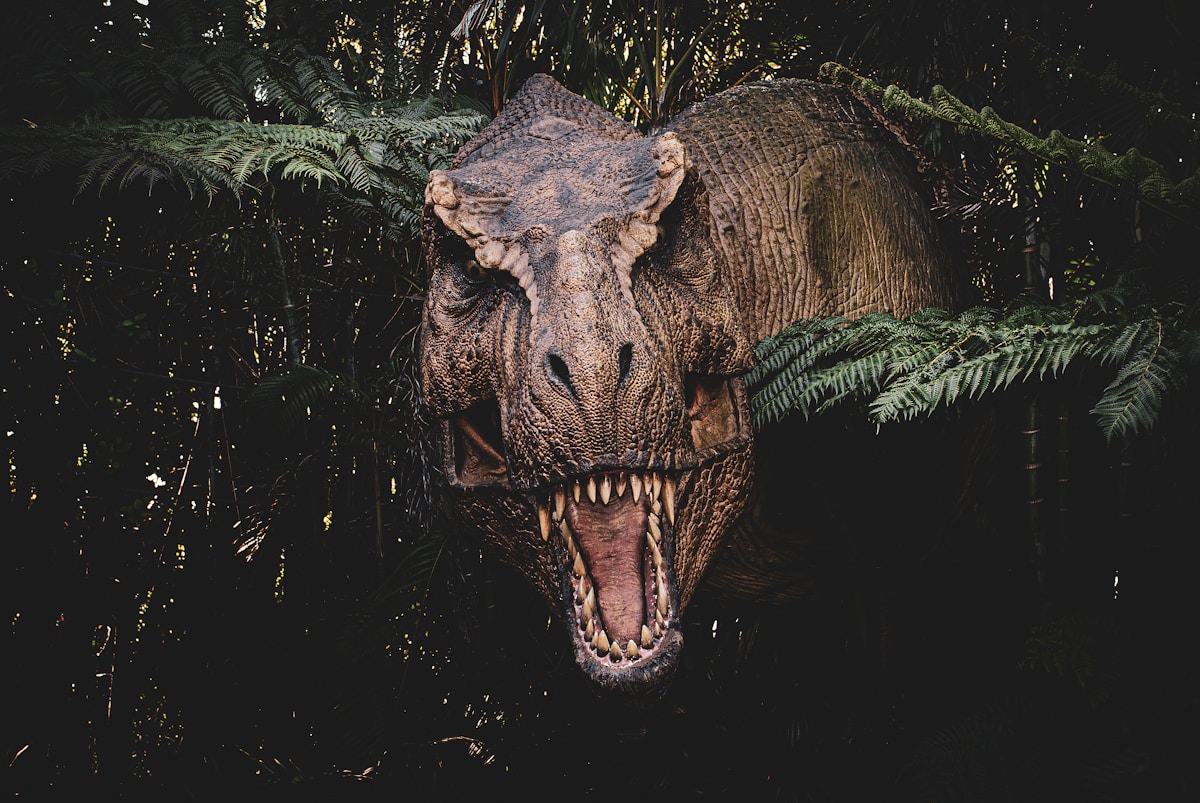 Fossil Discoveries Offer Rare, Exciting Glimpse into T. Rex Feeding Habits