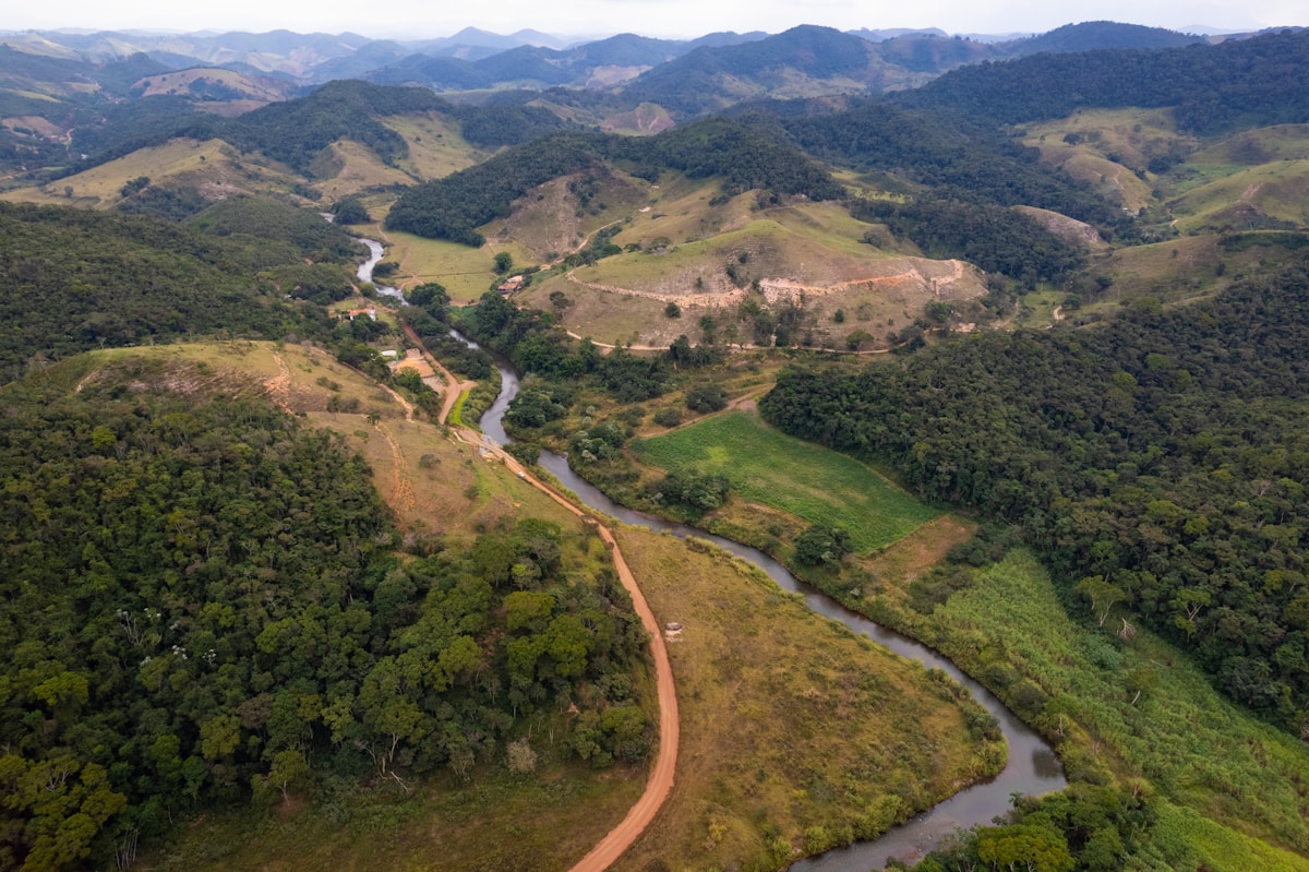 Ancient Brazilian Fossil Fills Key Gap in the Story of Early Reptile Evolution