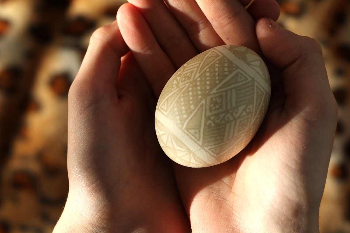 Ancient Ostrich Eggshell Carvings Reveal the Deep Roots of Human Creativity and Abstract Thought