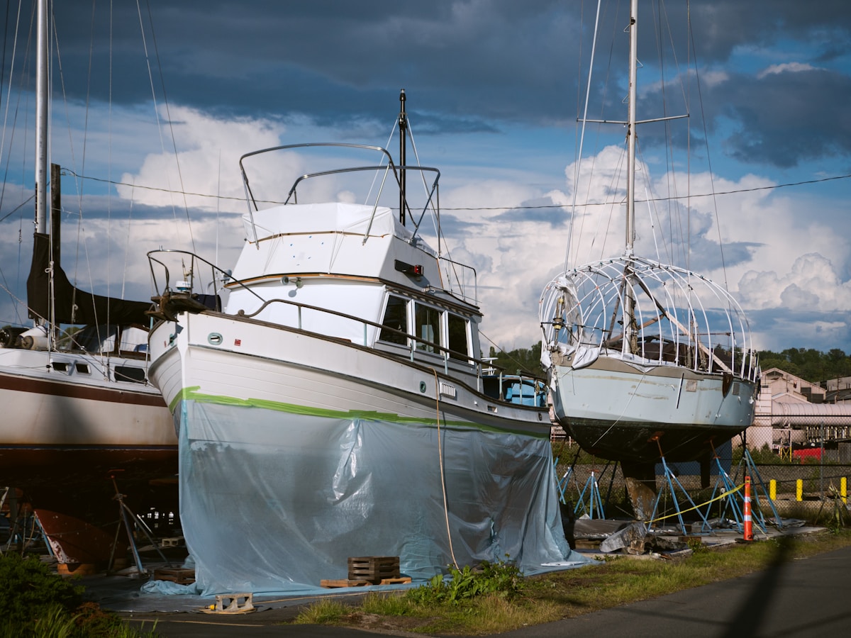 Safe Haven Found for 40 Cats Rescued from Abandoned Sailboat in Washington