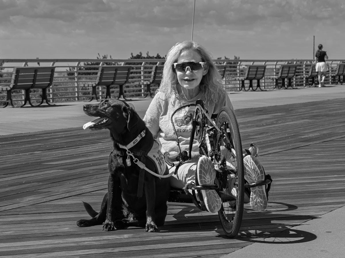 Adopted Schoolhouse Duck Becomes Unexpected Therapy Companion for Long Island Golden Retriever