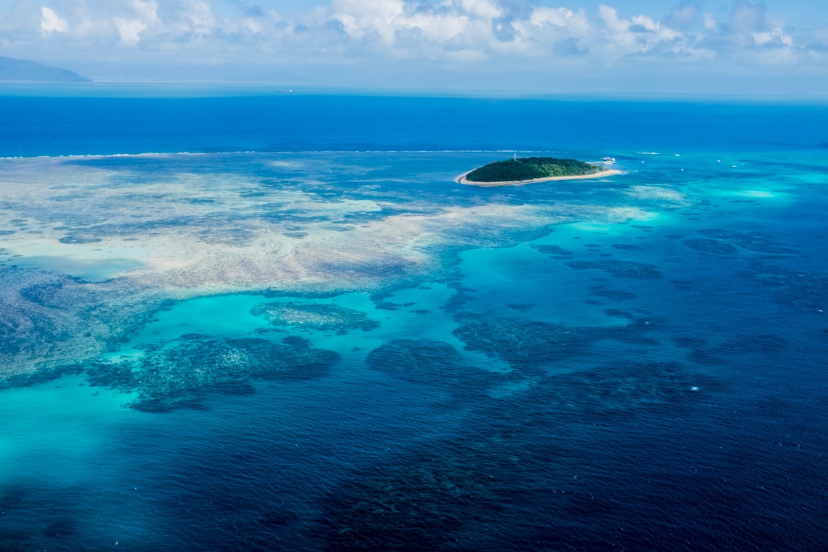 Cooling Monsoon Rains Offer Vital Lifeline to Great Barrier Reef