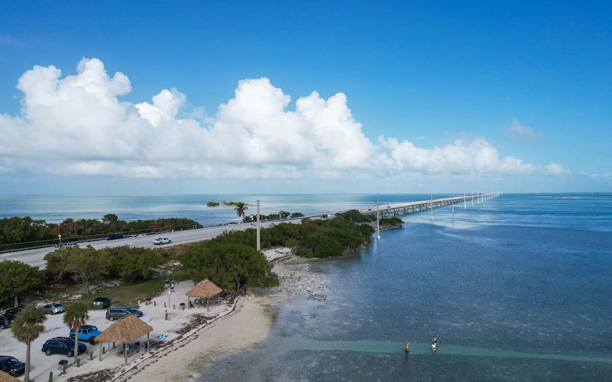 Florida Keys Kayak Guide Pauses Tour to Rescue Distressed Sea Turtle