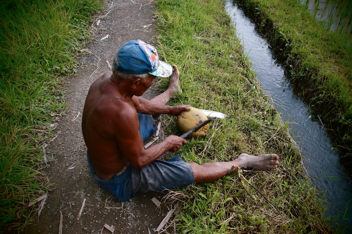 Ancient South American Irrigation System Shows How Communities Can Achieve Engineering Marvels Through Cooperation