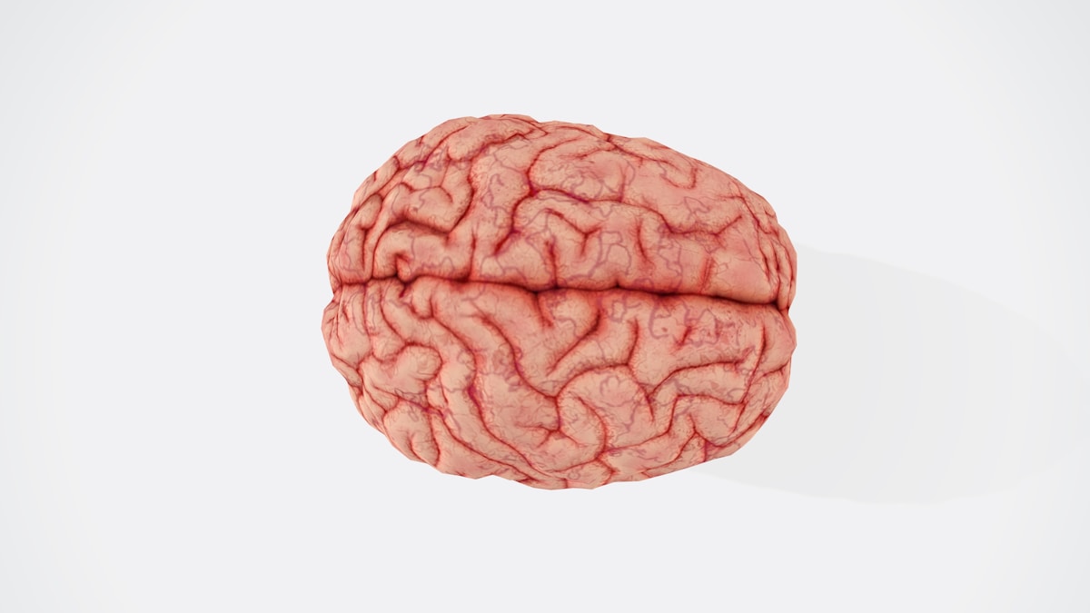 Our Brains Have a Hidden Ability to Rebuild and Repair Themselves