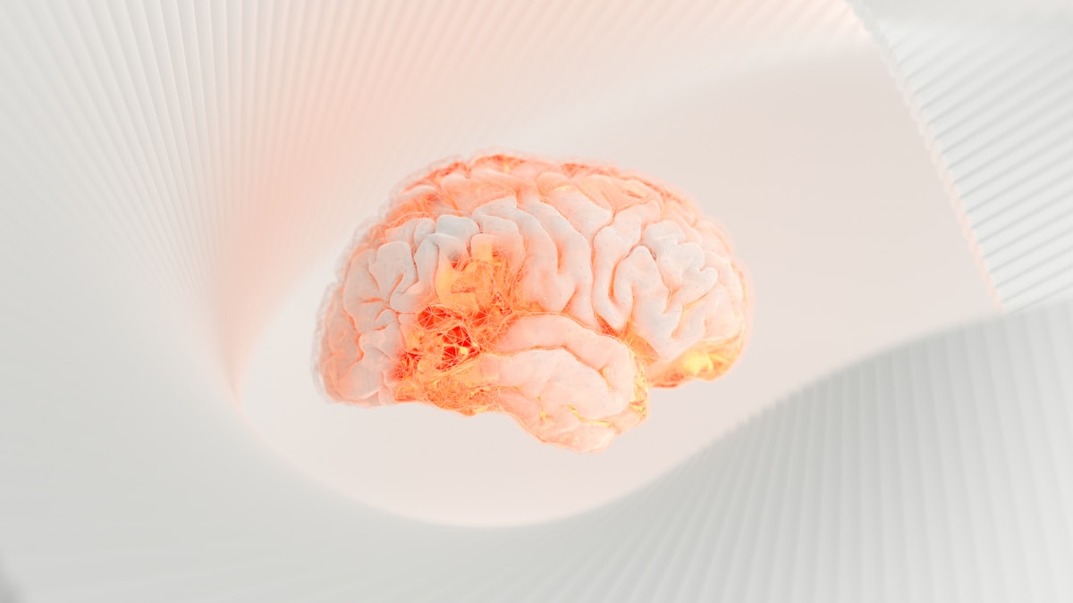 A Natural Stress Signal May Be the Key to Brain Self-Repair