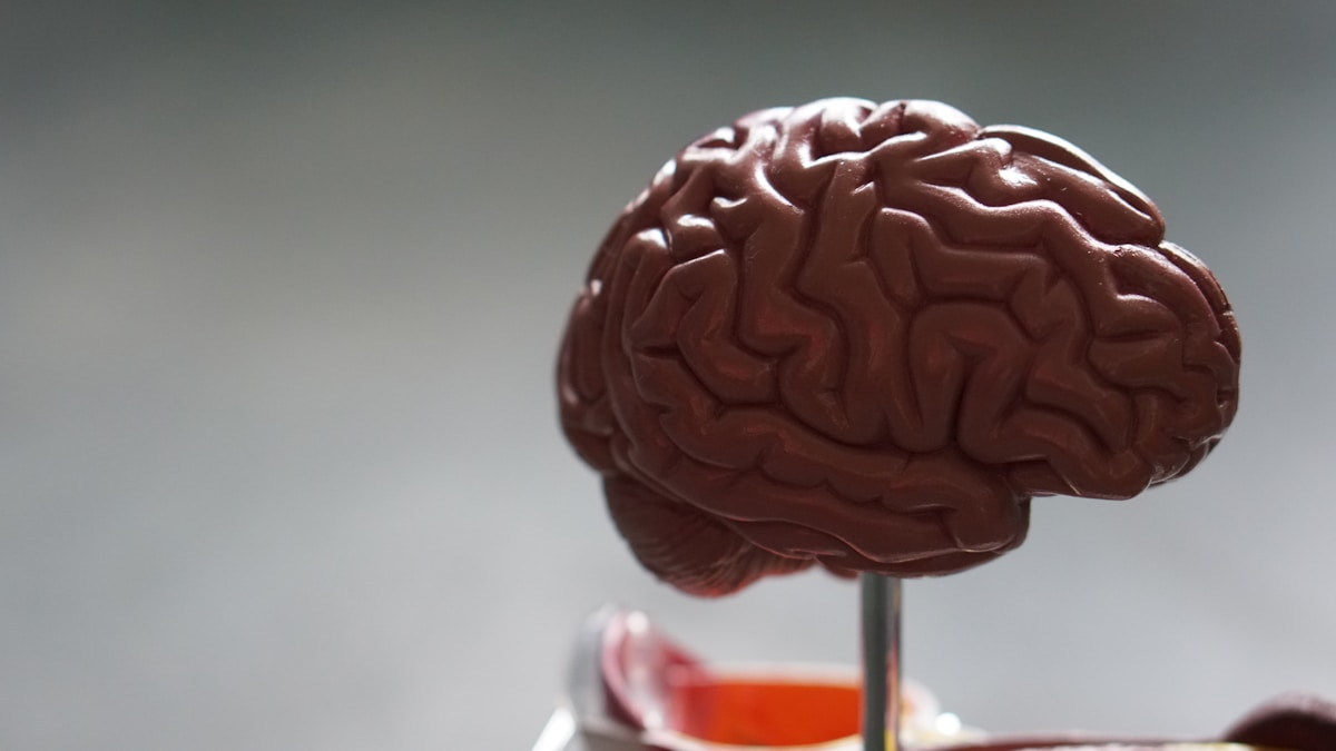 Active Midlife Habits and Balanced Blood Sugar Help Protect Your Brain in Later Years