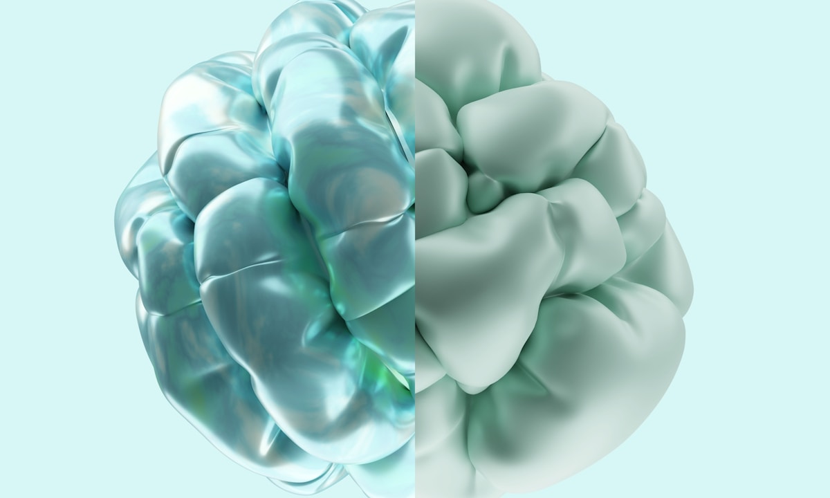 Experimental Compound Shows Promise in Fighting Alzheimer's and Supporting Healthy Aging
