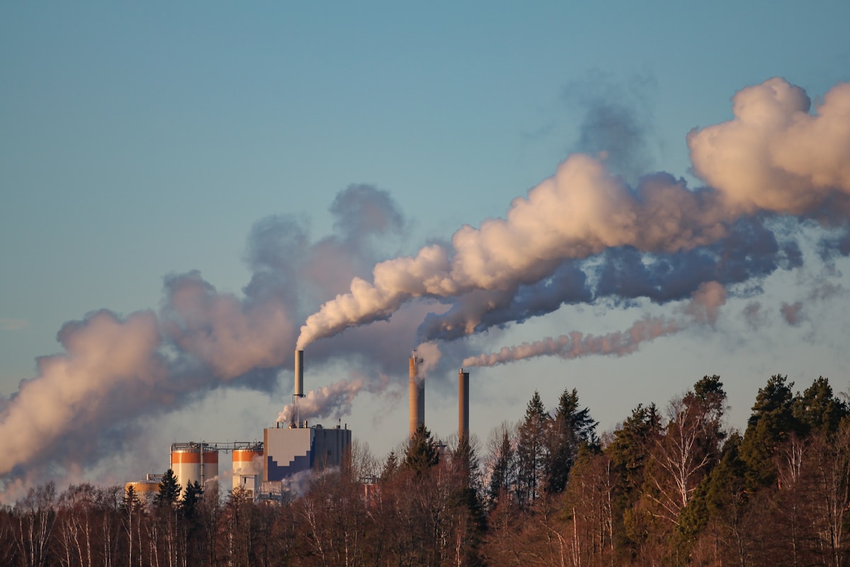 How the World's Cement Kilns Could Transition From Carbon Producers to Carbon Absorbers