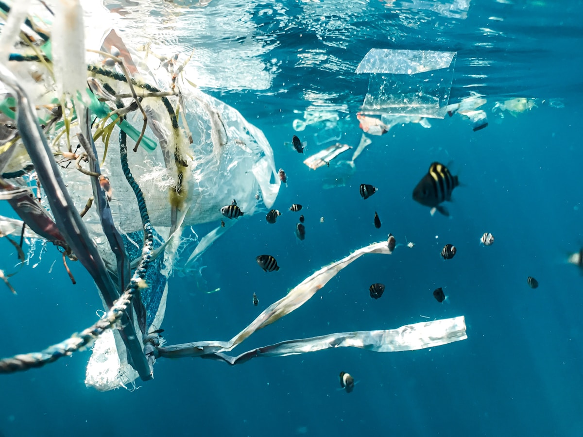 Nature's Original Bioplastic Has Been Sustaining Wildlife for Millions of Years, Study Finds